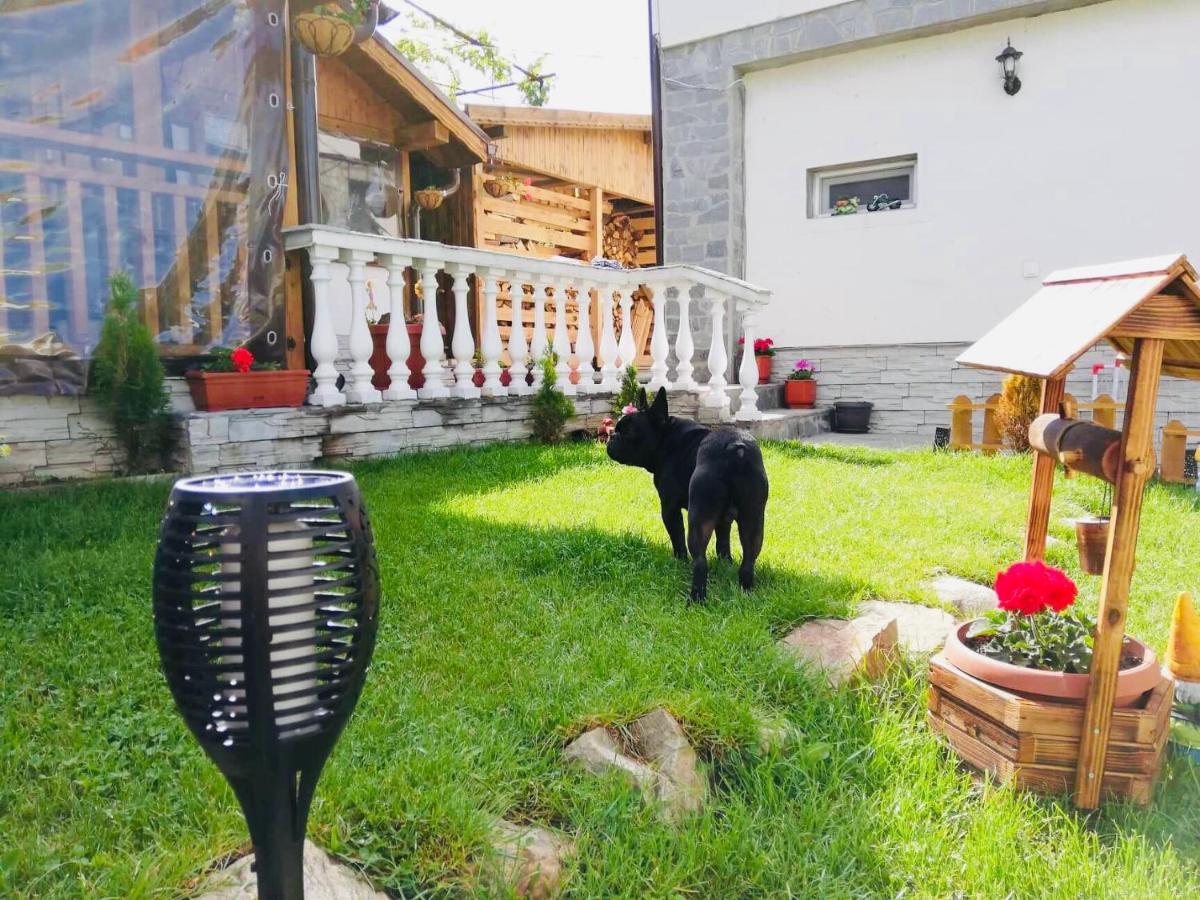 Guest House Grahlyov Sapareva Banya Exterior foto